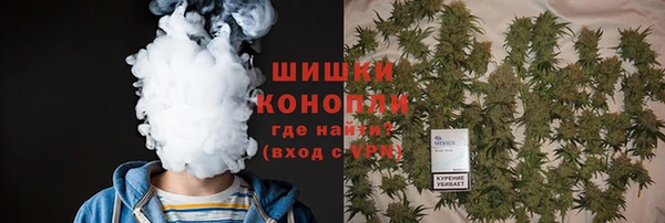 дмт Надым