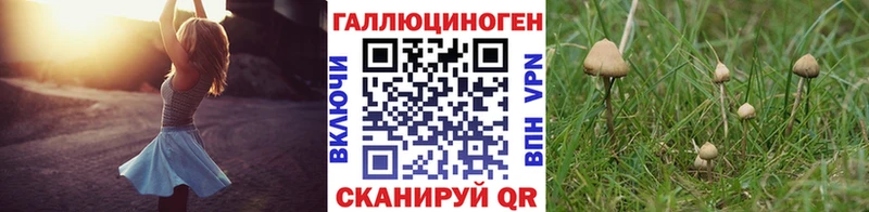 KRAKEN ONION купить наркотик Зеленокумск Галлюциногенные грибы MAGIC MUSHROOMS