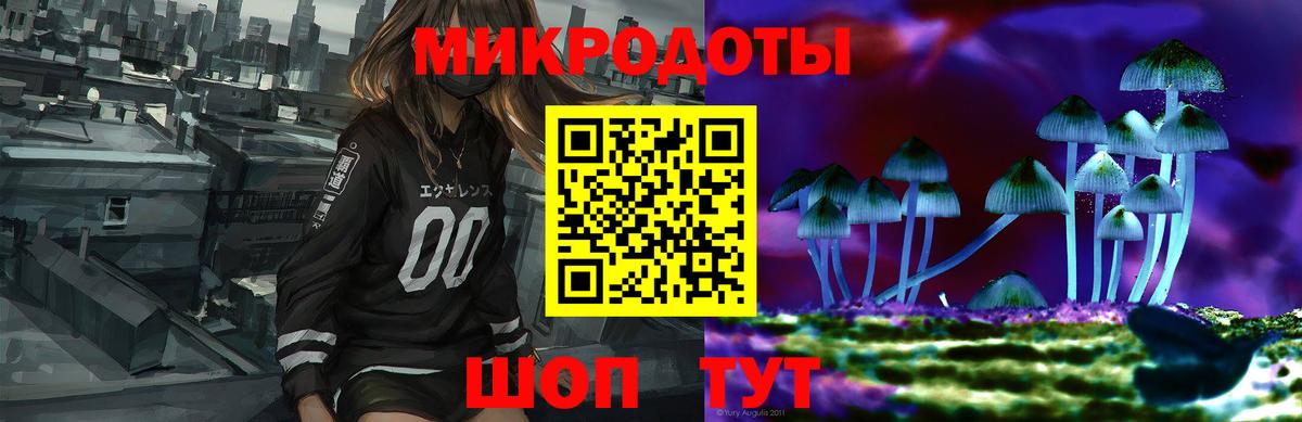 Псилоцибиновые грибы Cubensis Зеленокумск